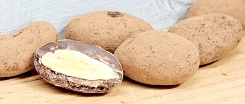 Almonds - Cocoa Dusted Choc. Covered (Bulk)